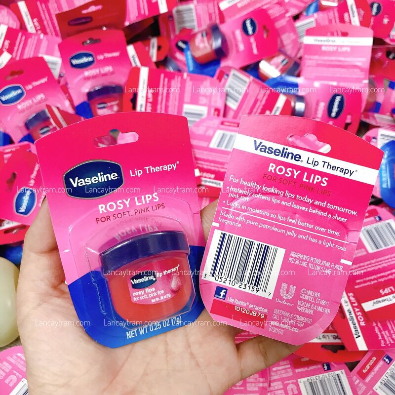 DƯỠNG MÔI HƯƠNG HOA HỒNG V.A.S.E.L.I.N.E ROSY LIPS THERAPY 7G