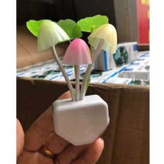 ĐÈN NGỦ CẢM ỨNG HÌNH NẤM XINH XINH