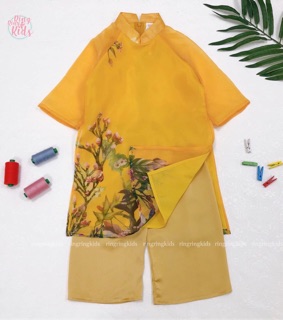 Áo dài Organza Màu vàng