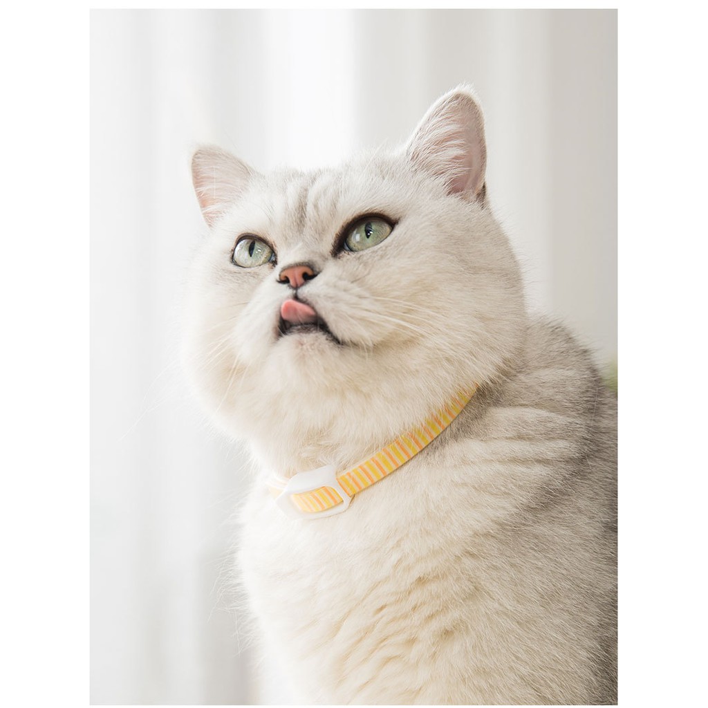 vòng cổ ngăn ngừa ve rận họa tiết dành cho chó mèo