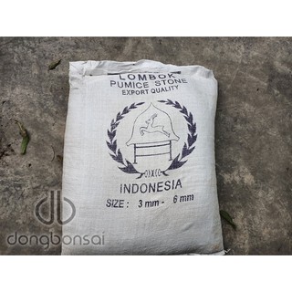 Combo 5lit Pumice (đá bọt núi lửa) Indonesia