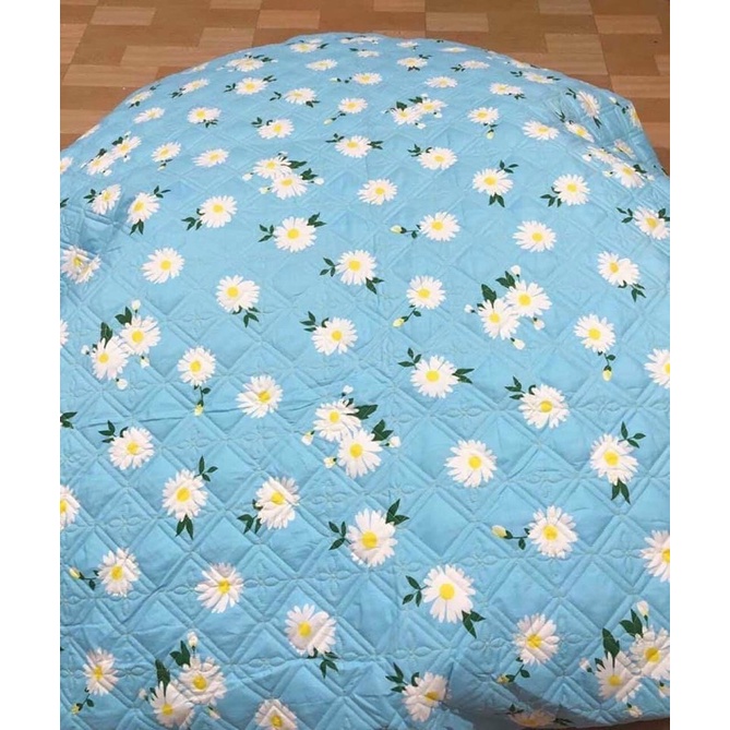 Ga giường bo chun trần bông + 2 vỏ gối nằm đủ kích thước