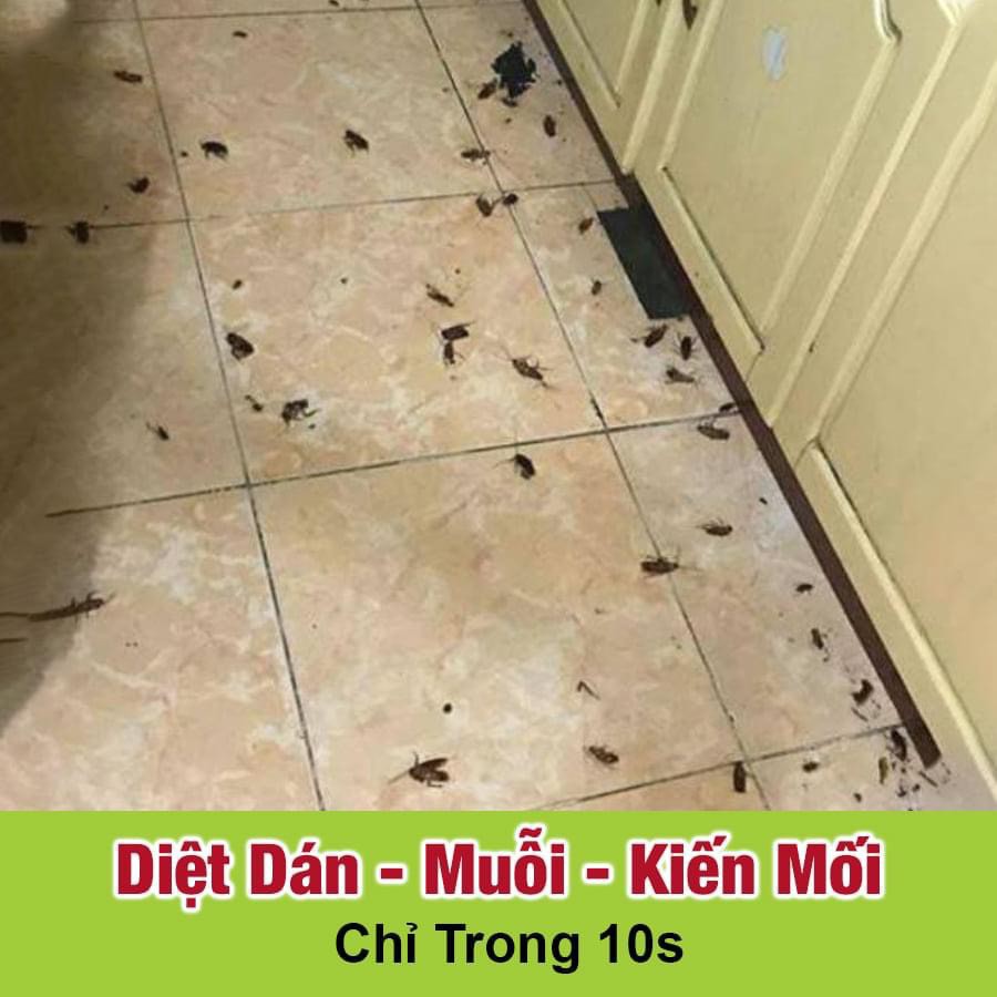 Thảo mộc 10s diệt muỗi,kiến, gián