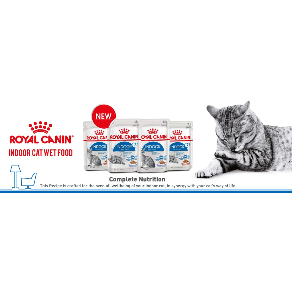 400gr - Hạt Kitten Royal Canin dành cho Mèo con từ 4 - 12 tháng tuổi - Royal Canin Second Age Kitten 36(REPACK)