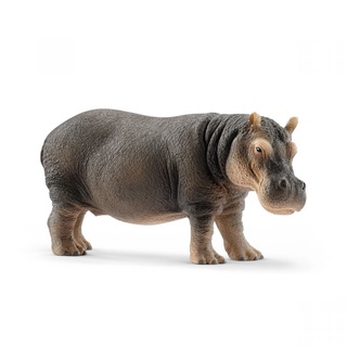 Đồ Chơi SCHLEICH Mô hình Hà Mã 14814