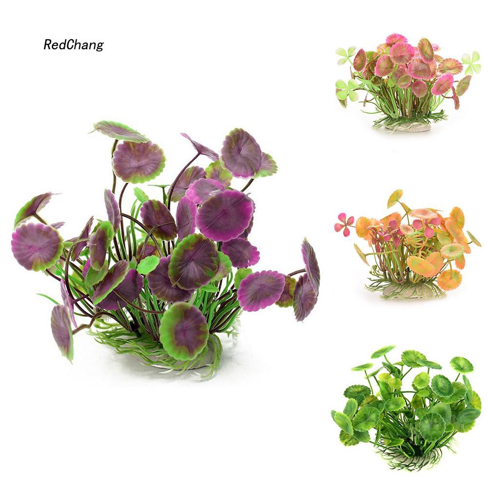 Cây cỏ nhân tạo dùng trang trí bể cá