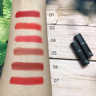 The Skin Face Bote lipstics