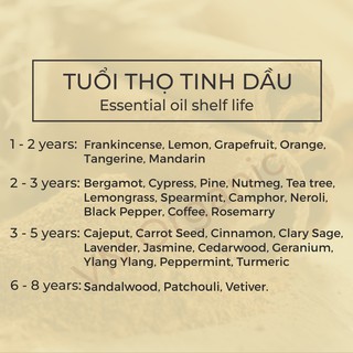 Tinh Dầu Vỏ Quế - Cinnamon Essential Oil