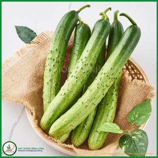 Hạt giống Dưa Chuột Nếp Lai NARI 902 - 0,5g