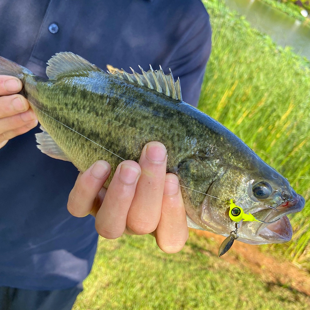 Bộ 5 Móc Câu Cá Đầu Mềm Hình Giun Kích Thước 3.5g - 5g - 7g - 10g