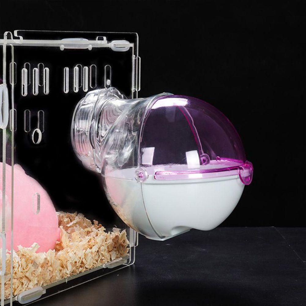 Võng Tắm Cho Chuột Hamster|Bồn Cầu Đồ Chơi Hình Gấu Đáng Yêu