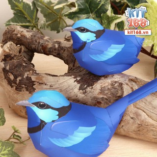 Mô hình giấy động vật Chim Hồng Tước lộng lẫy