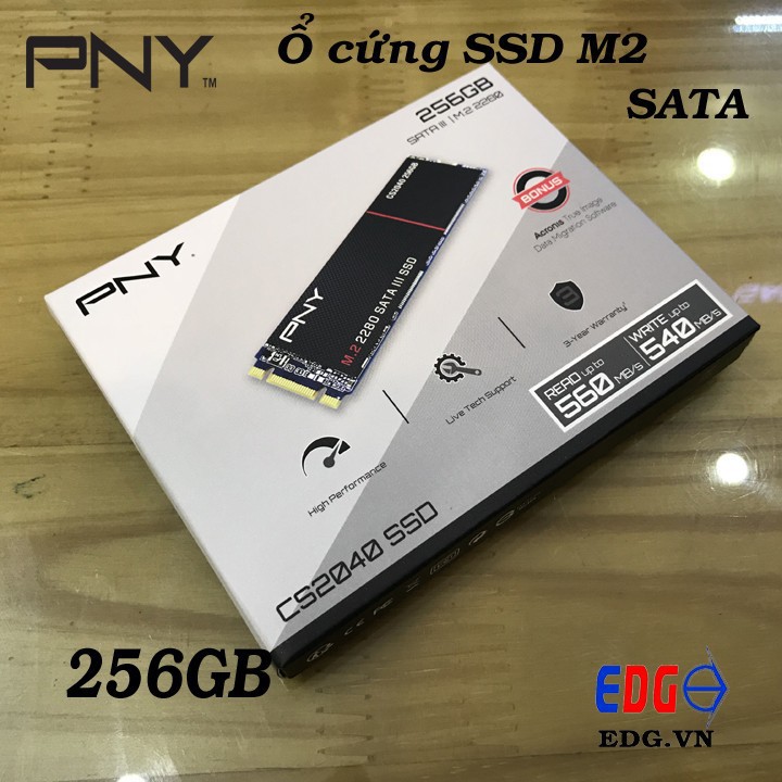 SSS M2 256GB SATA chính hãng PNY - SSD M2 256GB PNY CS2040