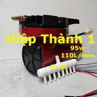 Máy sủi oxy hailea aco-006 95w dùng bình ắc quy