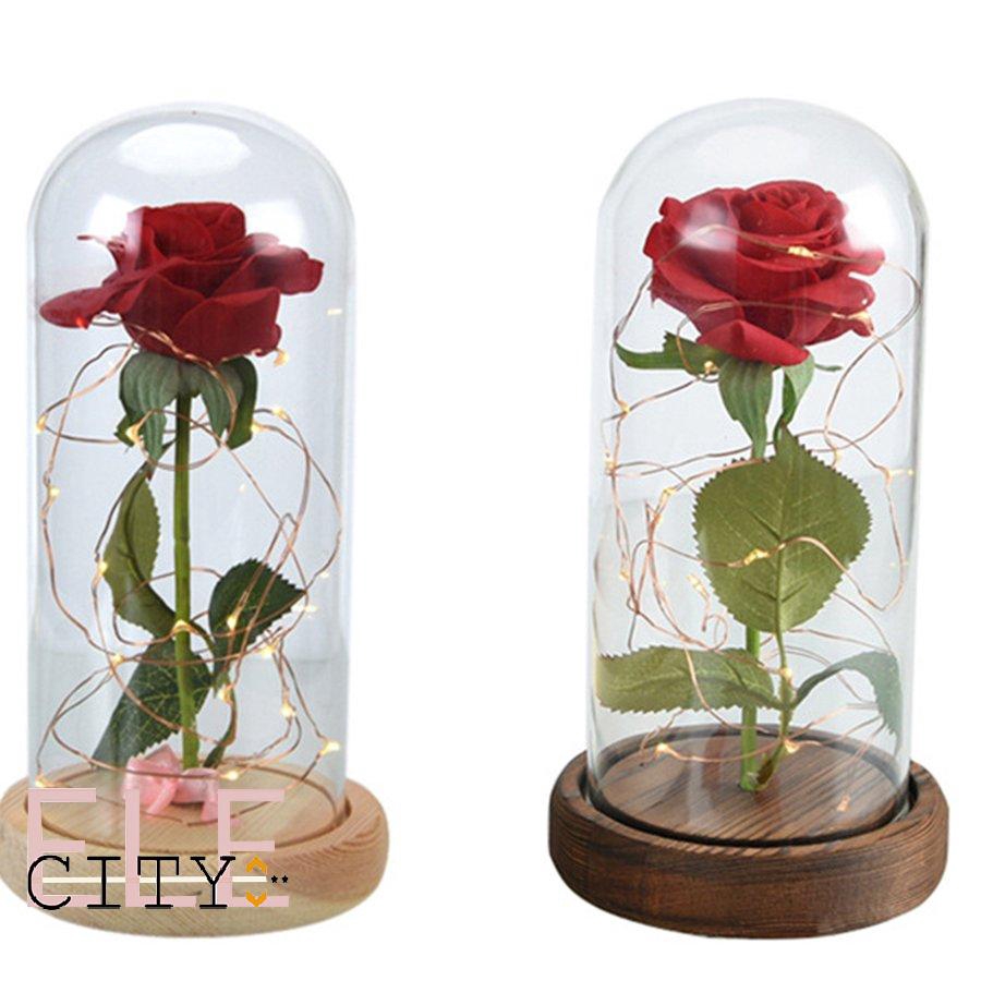 Hoa hồng có đèn LED trong lồng kính trang trí Valentine nguồn pin tiện dụng