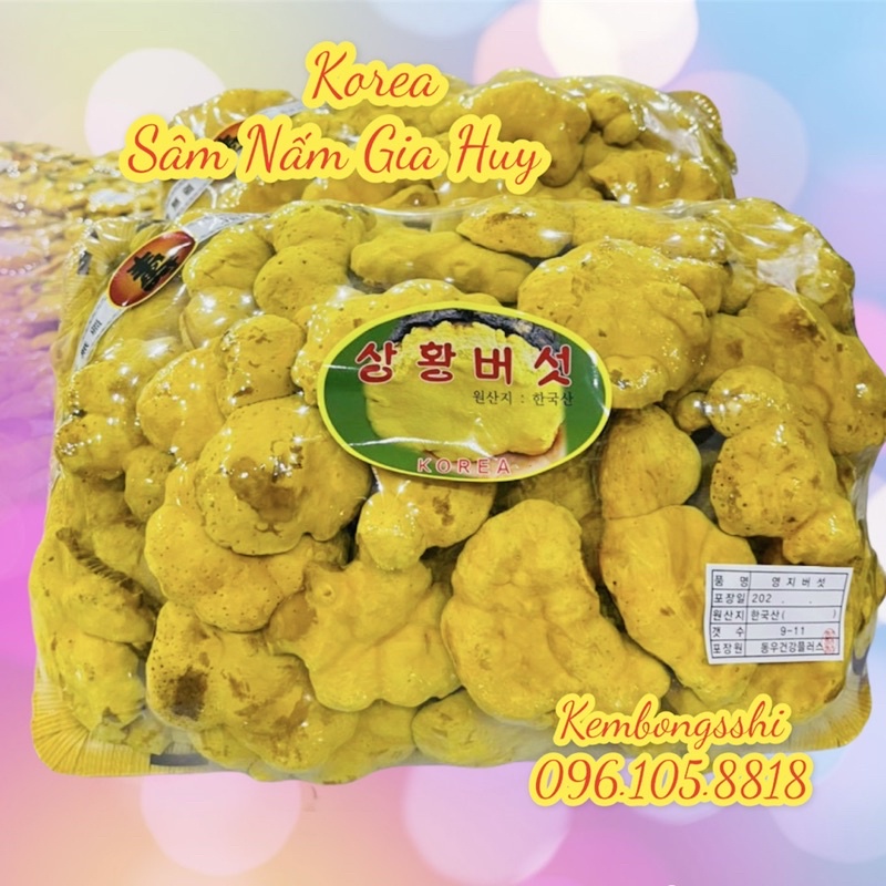 [HÀNG MỚI] Nấm Thượng Hoàng Cao Cấp Hàn Quốc, Khay 500gr