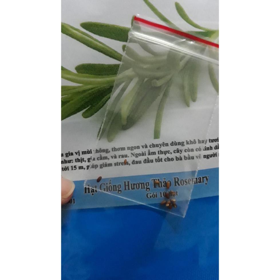 HẠT GIỐNG HƯƠNG THẢO - HẠT CÓ MÙI THƠM ĐẶC TRƯNG PHÂN BIỆT VỚI HÀNG GIẢ GÓI 20 HẠT KHUYẾN MẠI TẾT ĐÔNG GIÁ SHOP MỚI