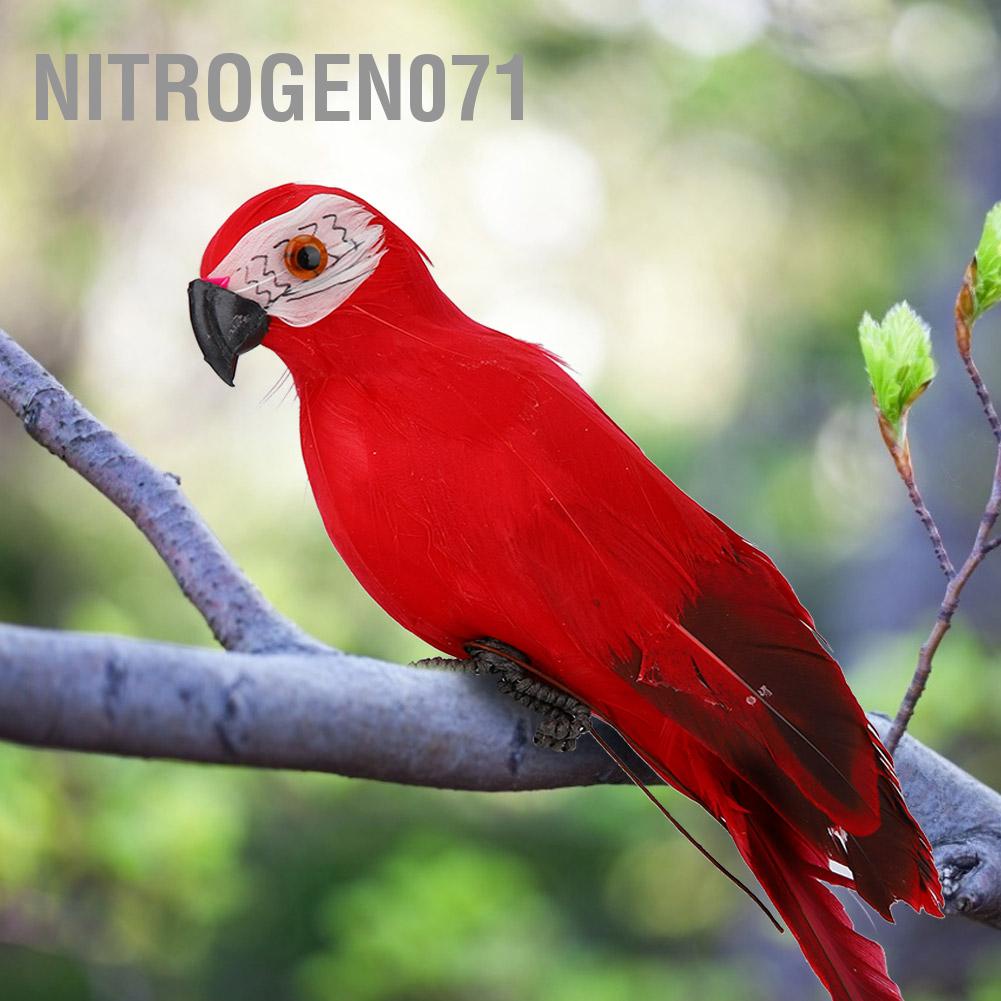 Nitrogen071 Mô phỏng Lông Vẹt Macaw Vườn Trang trí Nội thất Chim giả