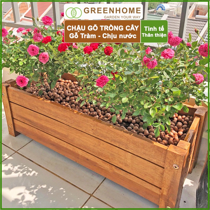Bộ 2 Chậu gỗ trồng cây, chữ nhật D60xR22xC20cm, gỗ tràm chịu nước, tặng 2 hộp dưỡng hoa tươi lâu |Greenhome