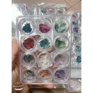 Set xà cừ trang trí móng, ẩn móng 12 hũ