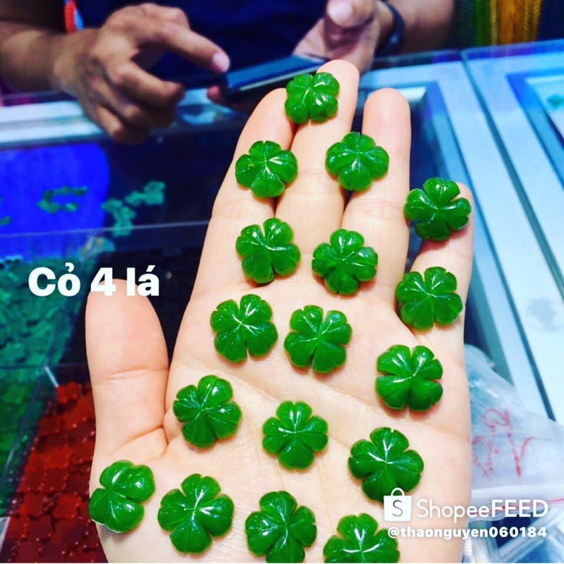 cỏ 4 lá may mắn