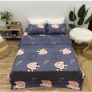 Chăn hè ga gối ( 5 món )