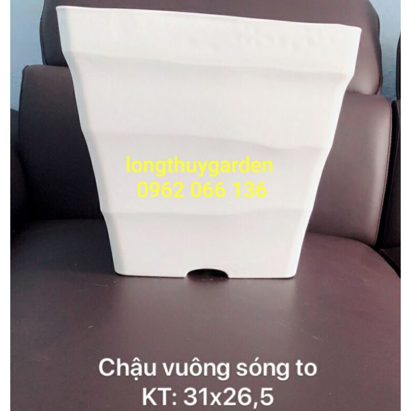 Chậu sóng vuông kt 31x26.5cm màu trắng