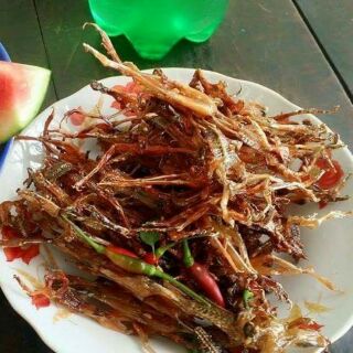 Khô nhái đồng ( gói 500gr )