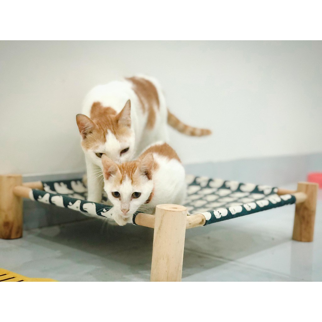 Võng gỗ nhiều màu sắc cho mèo