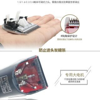 Tông Pin Wahl- 2226