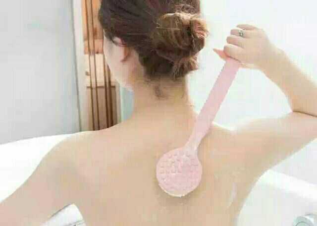 Cây trà,cọ lưng có hạt massager