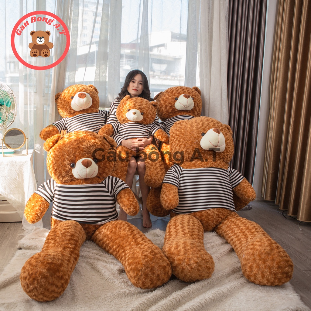 [HOT] Gấu Bông Teddy - Thú Nhồi Bông Teddy Siêu To Màu Nâu Vàng_ size 90cm-1m8 _ Gấu Bông A.T _AT002