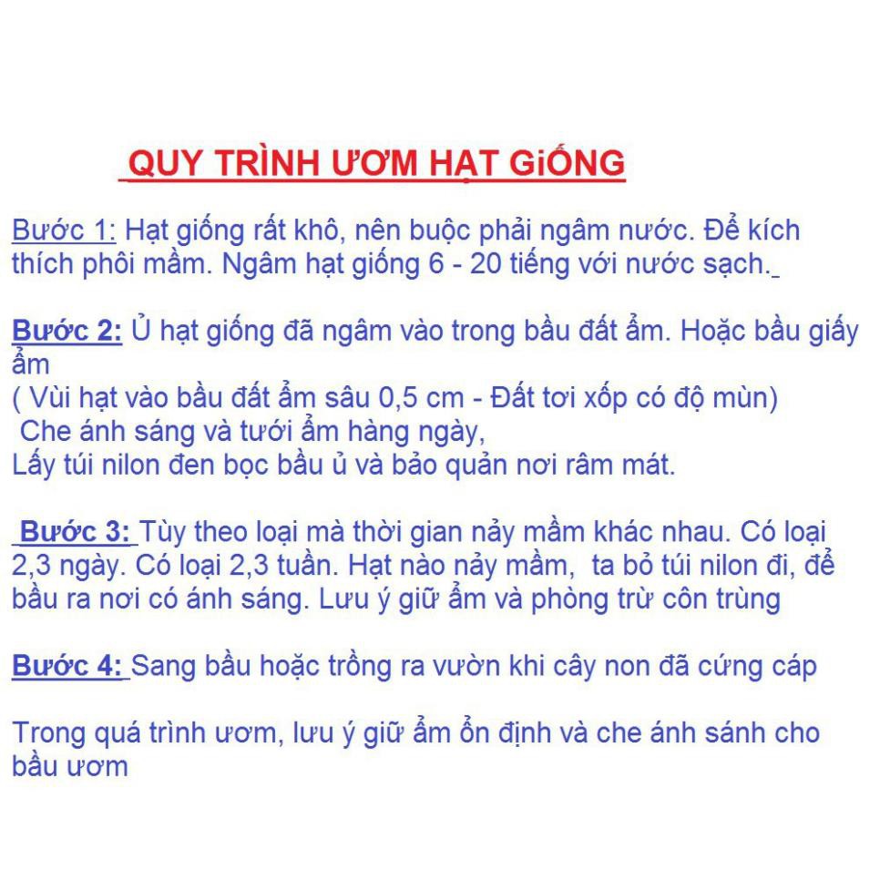 Hạt giống hoa Ngọc Thảo- Mai địa thảo kép MIX nhiều màu gói 20 hạt xuất xứ Đức