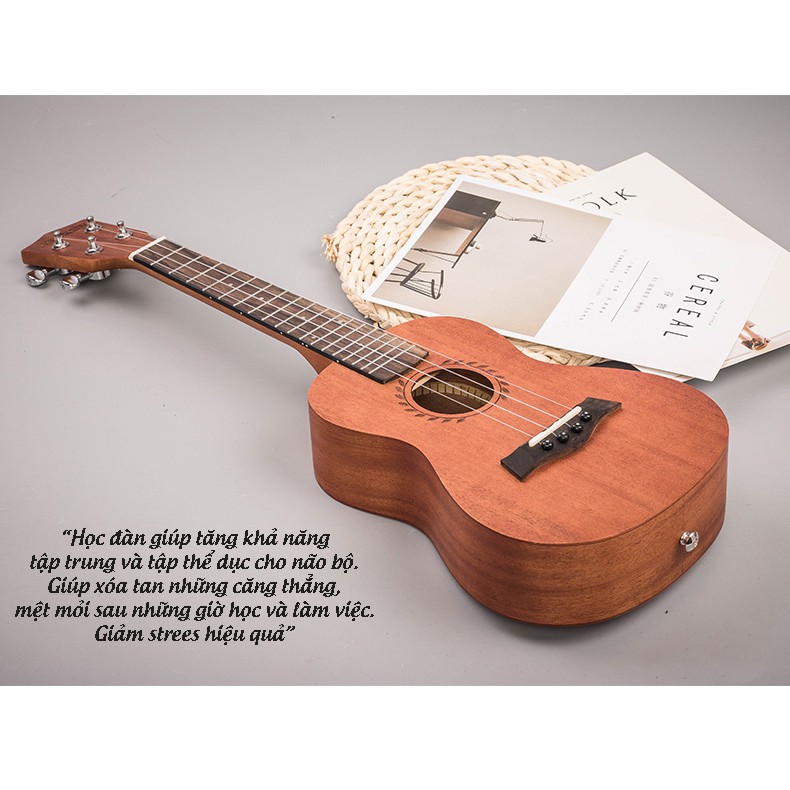 Đàn Ukulele Concert Size 23inch Gỗ Kèm Bao Đựng Đàn Và Full Phụ Kiện