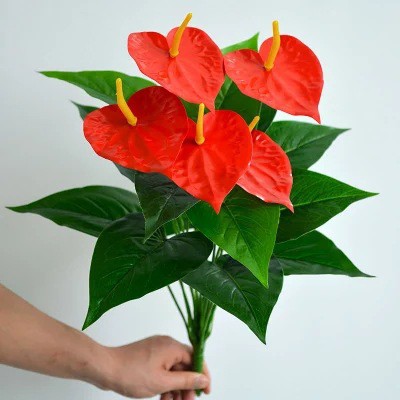 CÂY HOA HỒNG MÔN YẾN SIZE LỚN cao 50cm - 5 HOA ĐỎ - Trang trí