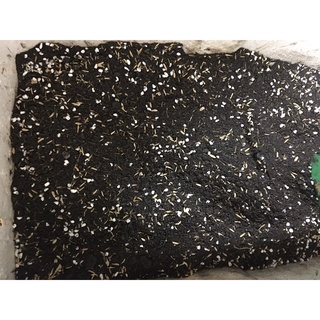 1kg Đất trồng cây trộn sẵn