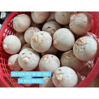 Dừa Xiêm Bến Tre