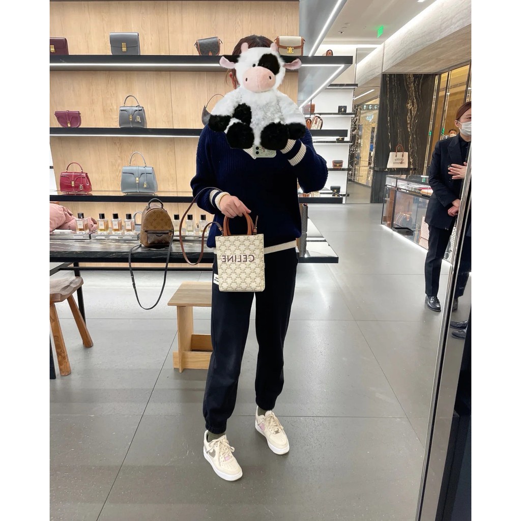 Túi Đeo Chéo Mini Cho Nữ