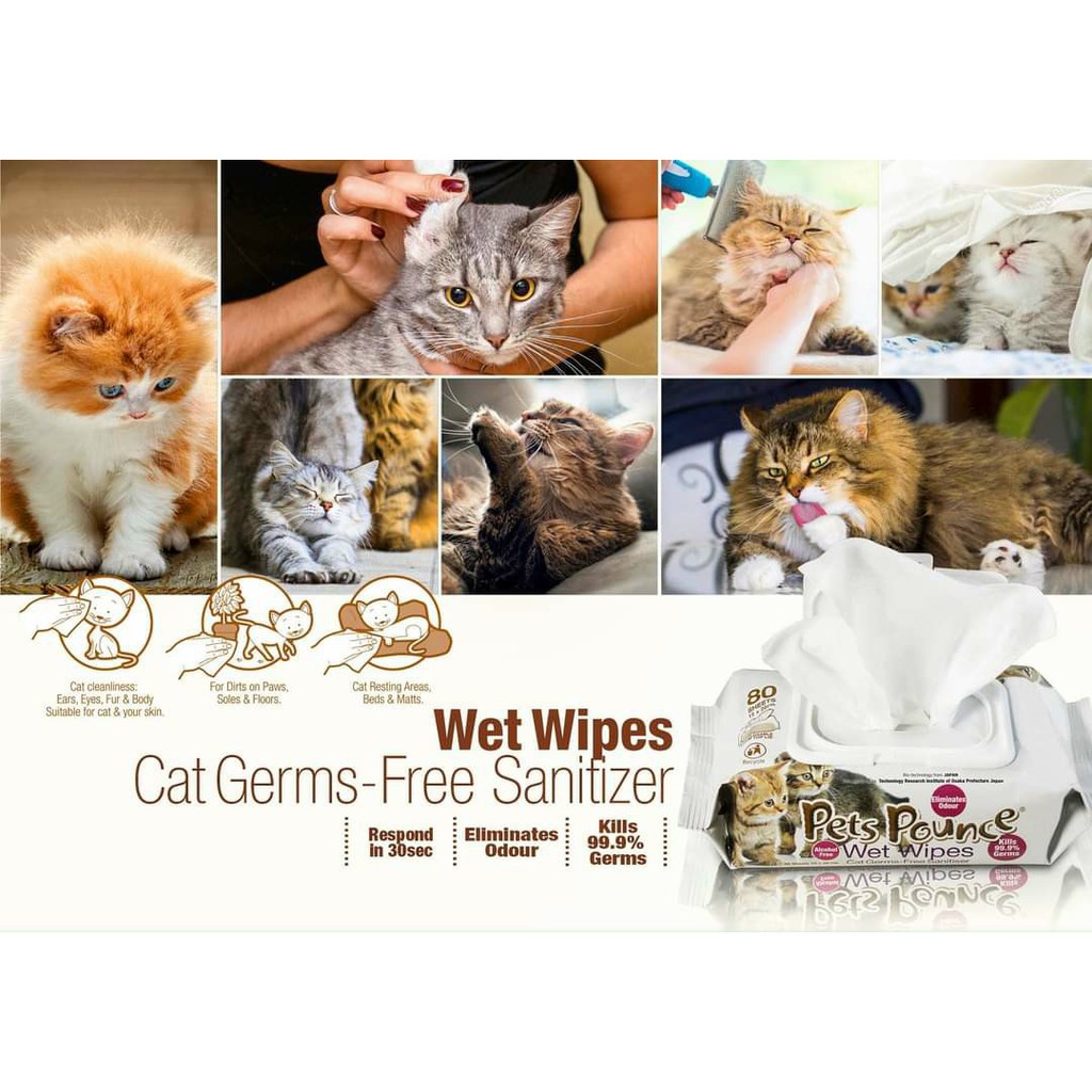 Khăn Ướt BIOION PETS POUNCE WET WIPES SANITIZER NON-ALCOHOL FOR CAT - Khử Khuẩn, Khử Mùi Cho Mèo Không Cồn 80 Miếng