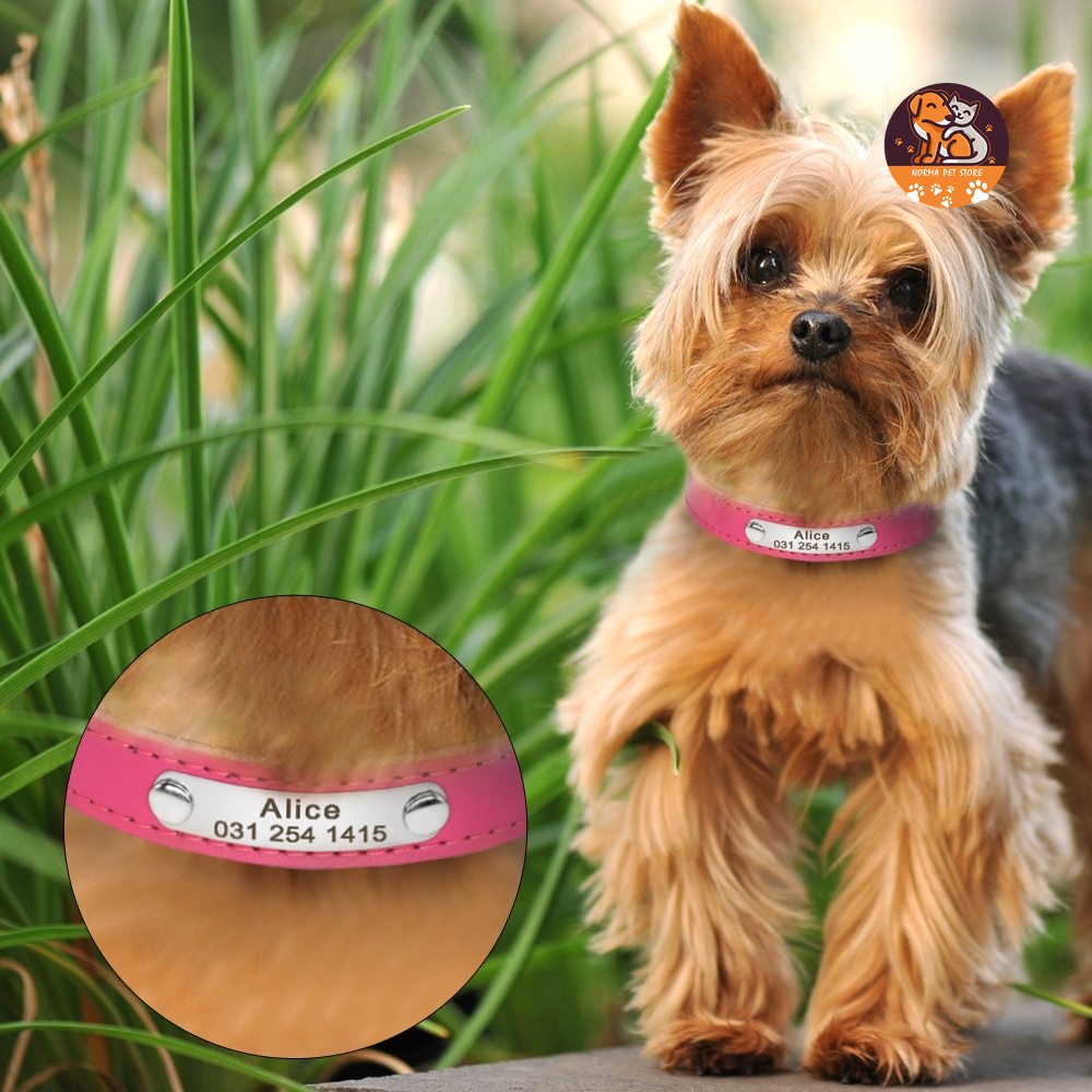 【RIZER】Vòng Cổ Khắc Tên ID Tùy Chỉnh Cá Nhân Hóa Cho Mèo