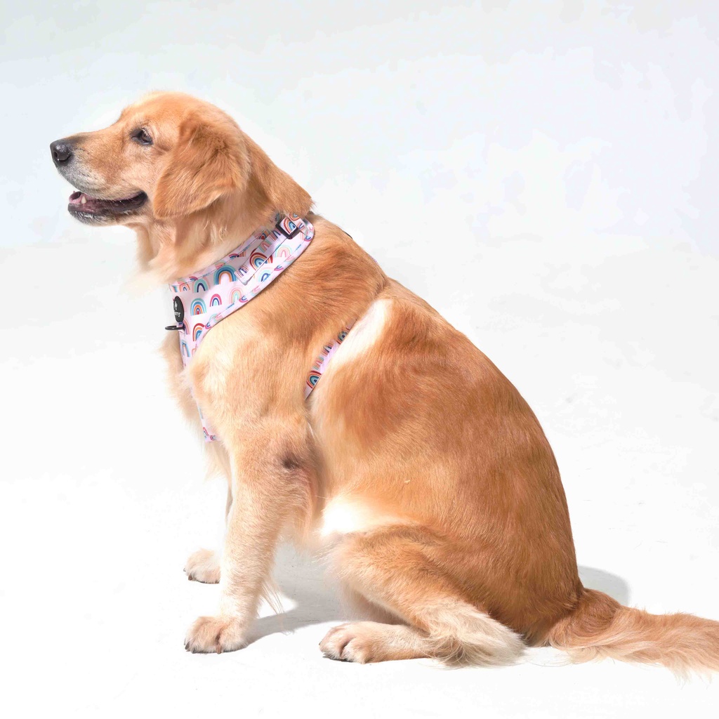 Yếm dắt chó cao cấp Furry êm ái họa tiết xinh xắn RAINING RAINBOWS - Phụ kiện chó mèo