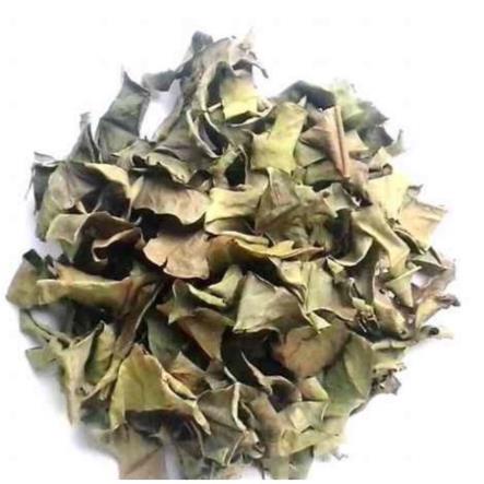 Lá vối khô 1kg hàng loại 1