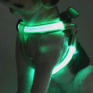 [ORDER]  ĐAI YẾM LED CHO CHÓ MÈO