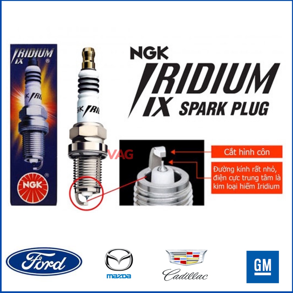 Bugi Ford Fiesta, Ecosport, Escape, Mondeo Từ năm 2009-2021| Chính hãng NGK Mã sản Phẩm LTR6IX-11