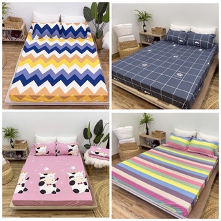 Ga Giường, Drap Giường 3 Món【Đặt may riêng】Ga Chun Kèm Vỏ Gối Cotton Poly Kích thước theo yêu cầu (đệm cao/ nhỡ cỡ)