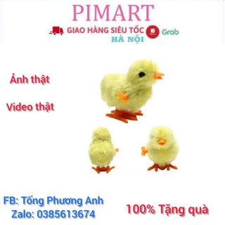Đồ chơi gà con vặn dây cót cho bé - 4 màu, giao ngẫu nhiên - mua 10 tặng 1 -pimart