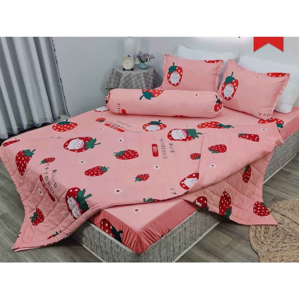 Ga trải giường bo chun xunh quanhcó bán thêm vỏ gối nằm