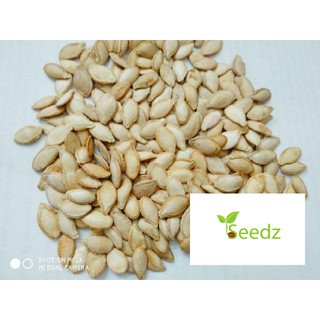 20 hạt giống bí siêu quả vinmark hạt giống