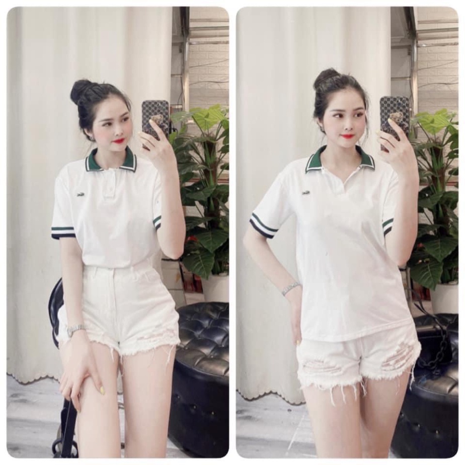 Áo polo nữ cổ xanh thêu hình cá sấu HN844 0421