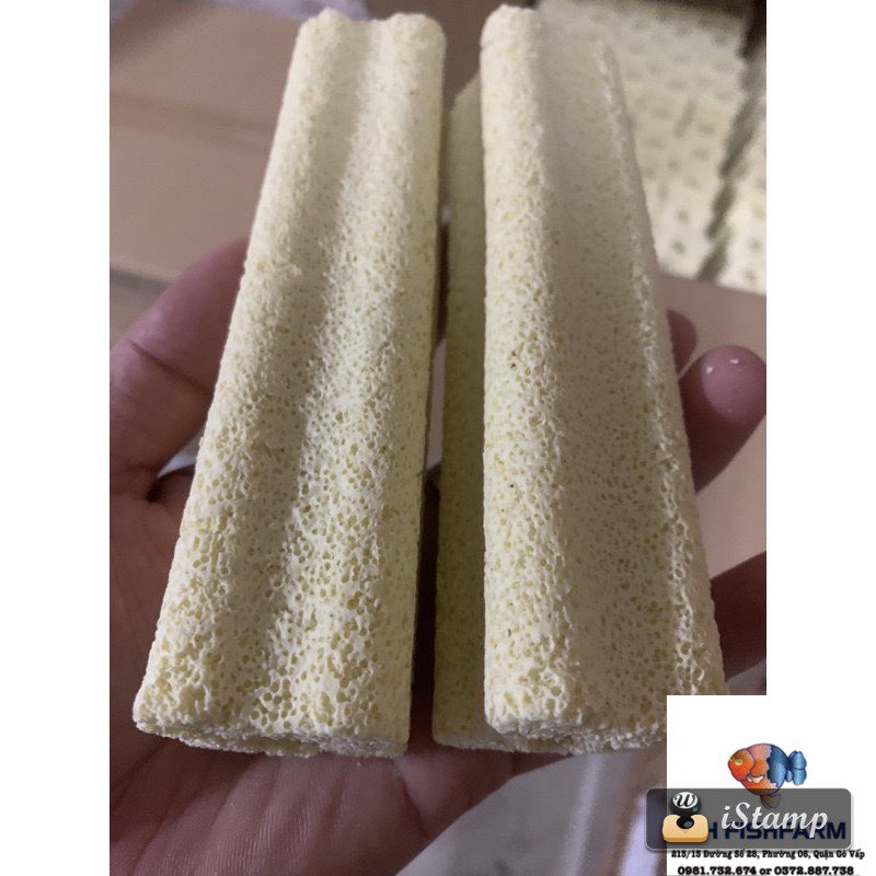 Sứ thanh vàng sứ hoa mai 15cm x 3.8cm loại lớn